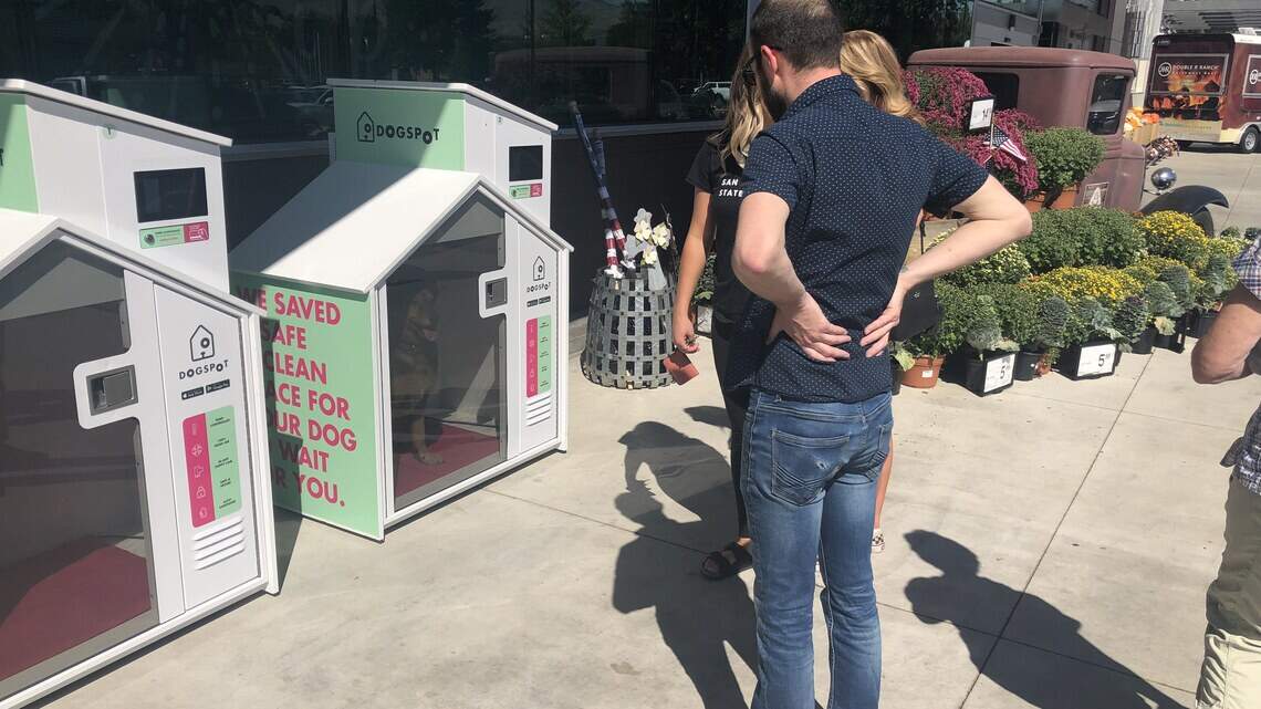 Too hot to leave your dog in the car? Temperature-controlled huts now at 2 Valley stores