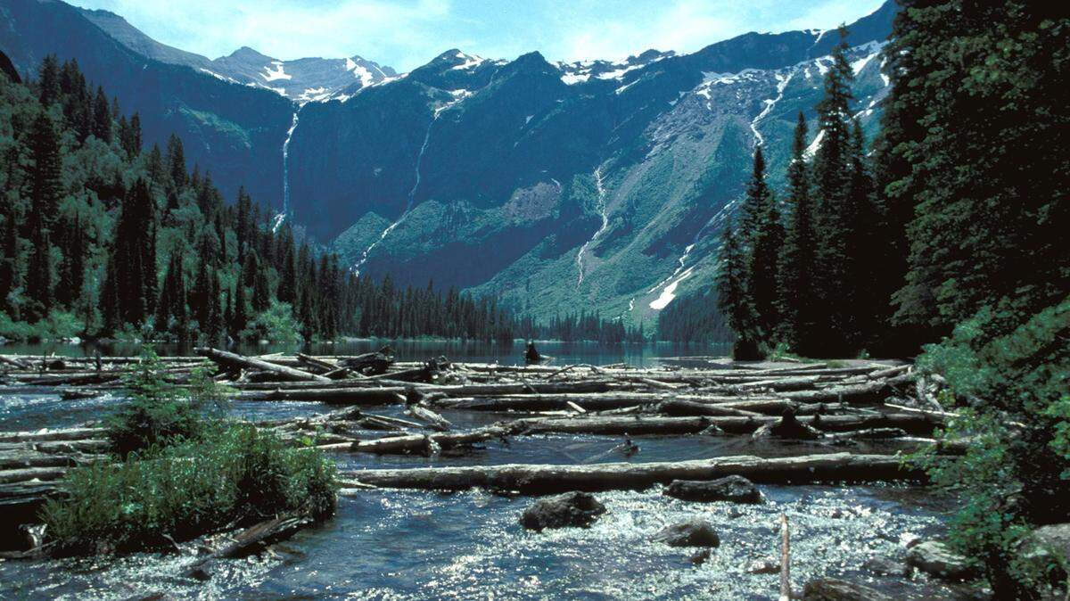 A 28-year-old woman died after she fell from a rocky cliff and was swept into a gorge in Glacier National Park in Montana.