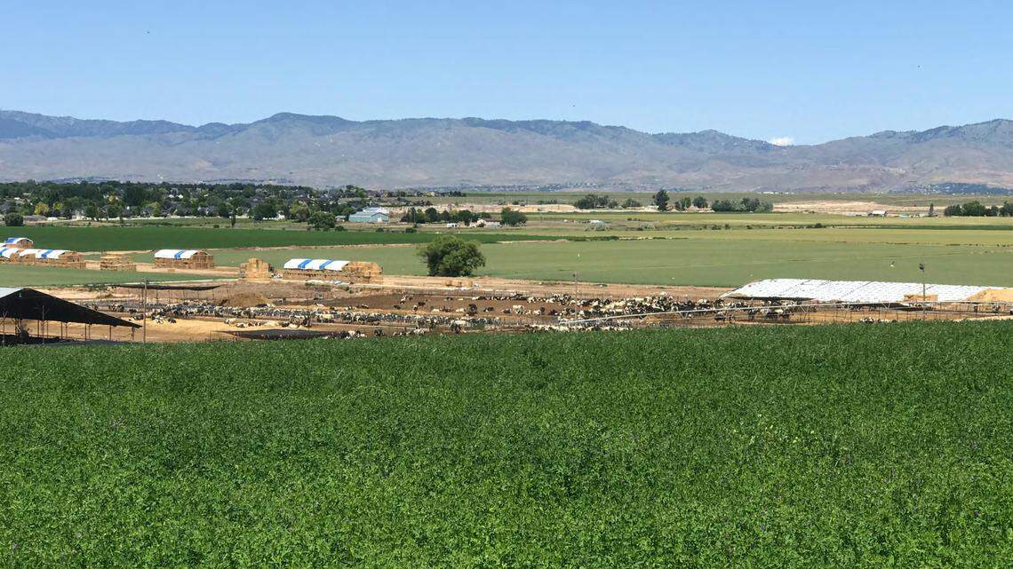 This property that would turn into homes is where the former Murgoitio dairy farm is, center. It would be roughly half the size of Boise’s Military Reserve.