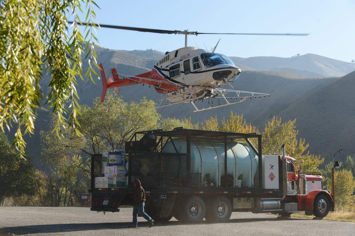 A helicopter pilot lands on a truck to refuel on herbicides being applied to the Salmon-Challis National Forest on Oct. 4, 2021. The herbicide also ended up on private property in the Fourth of July Creek area, prompting distrust in the agency and health concerns from veterans who’ve previously been exposed to harmful pollutants.