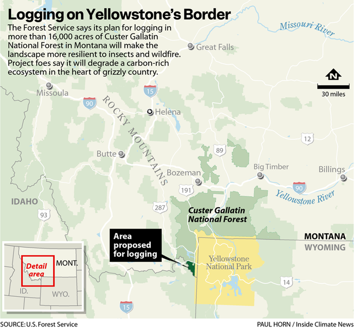 This infographic shows where the U.S. Forest Services proposes logging near the border of Yellowstone National Park.