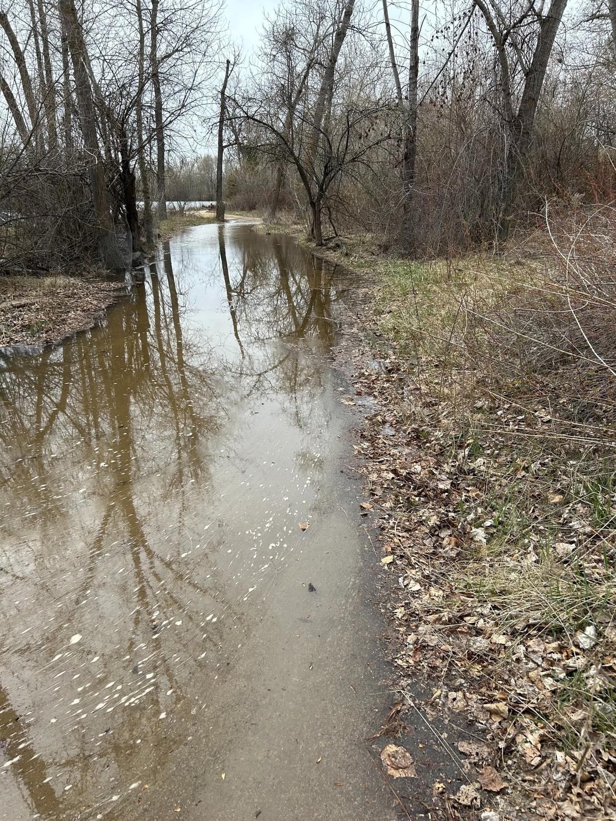 The Bethine Church River Trail, a 1.6-mile unpaved stretch of the Boise River Greenbelt, has experienced flooding throughout the spring.
