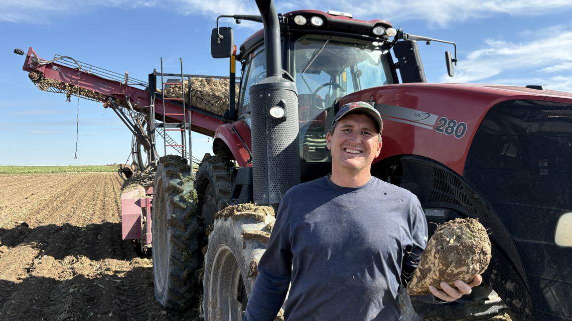 Congress must act now to save Idaho sugar beet farms | Opinion