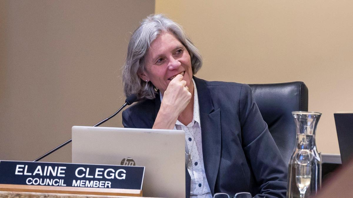 Boise City Council Member Elaine Clegg participates in a council meeting earlier this month.