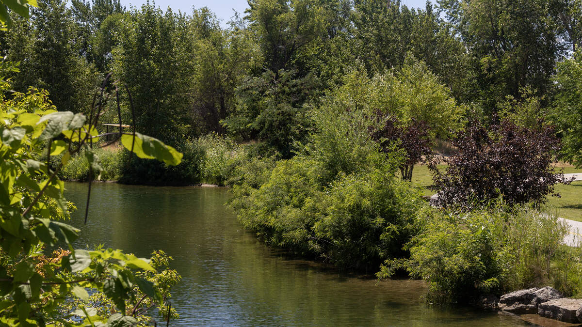 Quinn’s Pond in Boise and the adjacent Boise River could be habitats that attract snapping turtles.