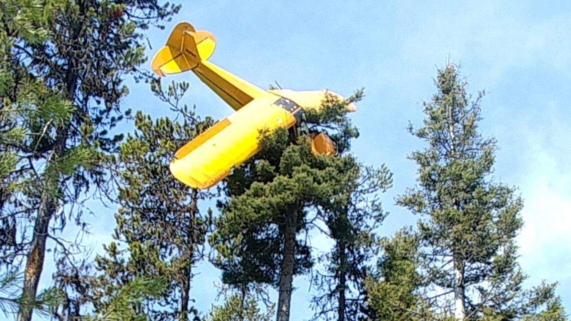 McCall pilot rescued after plane gets stuck at top of 60-foot tree