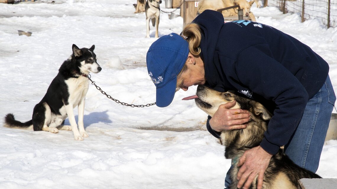 This Idaho sled dog race joins elite ranks, and Council woman aims to win it