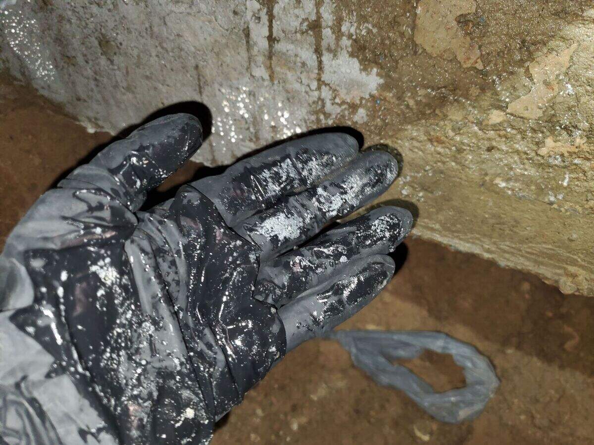 Inspectors found water intrusion in the Kramer’s crawlspace, which could have contributed to mold.
