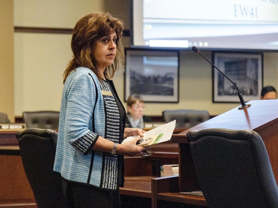 Rep. Dorothy Moon, R-Stanley, during the last session proposed legislation she said would help secure Idaho elections. Sen. Mary Souza and Moon, secretary of state candidates, have campaigned for months on President Donald Trump’s claim the 2020 presidential election was stolen from him.