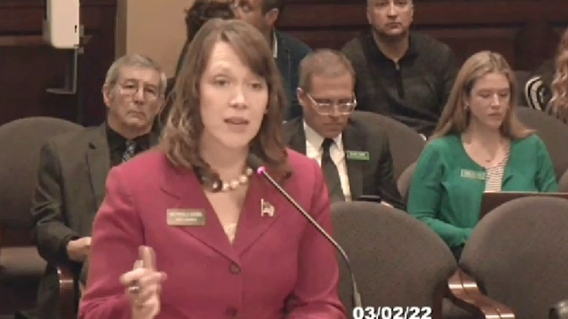 Rep. Priscilla Giddings, R-White Bird, speaks to the House State Affairs Committee about her bill to eliminate absentee ballot drop boxes.