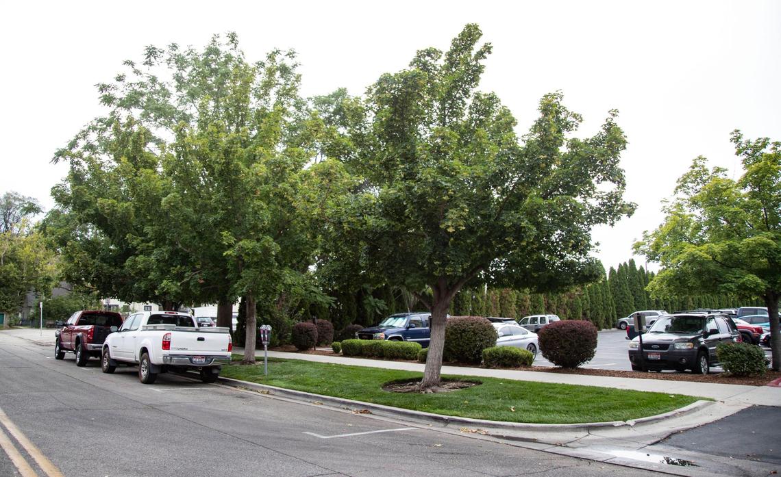 The redevelopment plan would include widening sidewalks and developing multi-use buildings where parking lots are now.