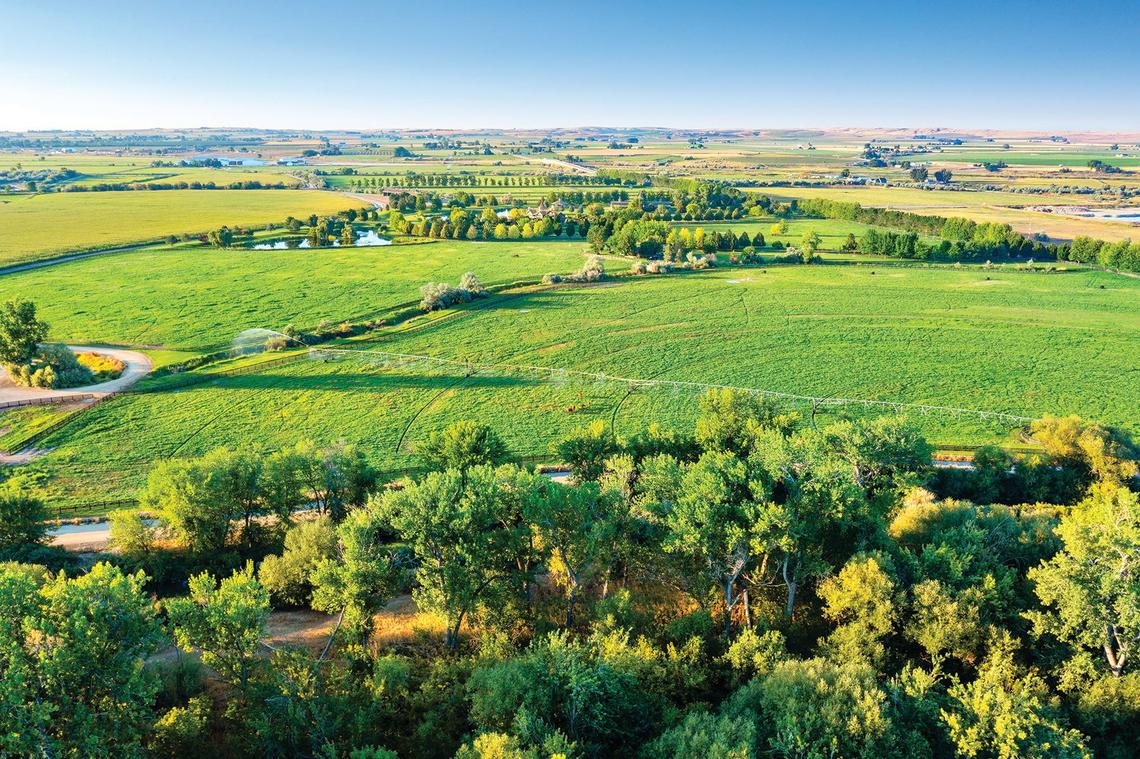 The property includes ample space for hunting birds including ducks, geese, quail, pheasants and wild turkeys.