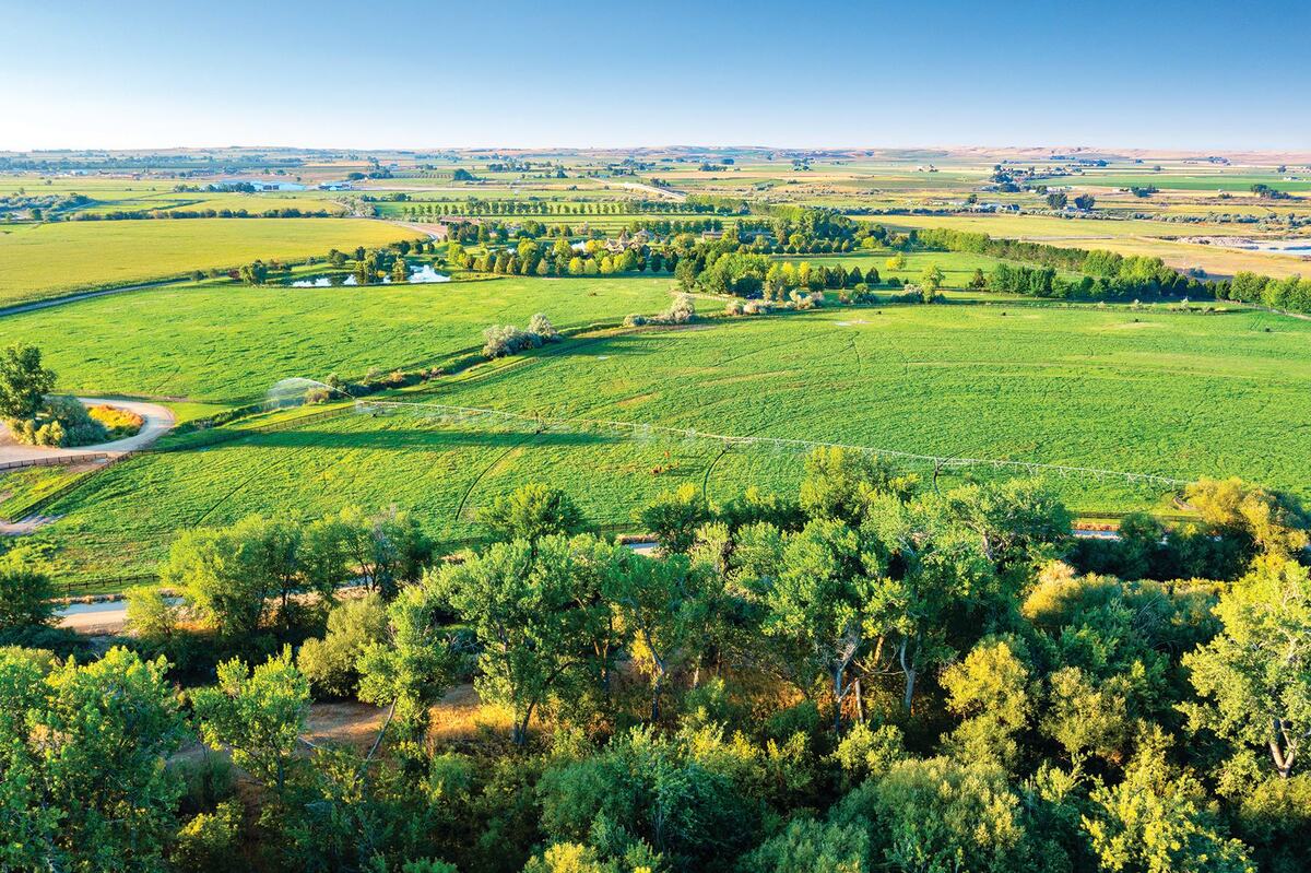 The property includes ample space for hunting birds including ducks, geese, quail, pheasants and wild turkeys.