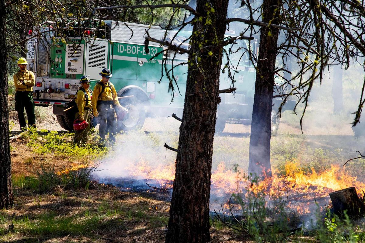 Firefighters ignite the forest floor in a prescribed burn northeast of Idaho City in this 2021 file photo. Winds, drought and skyrocketing temperatures may increase the chance for wildfires
