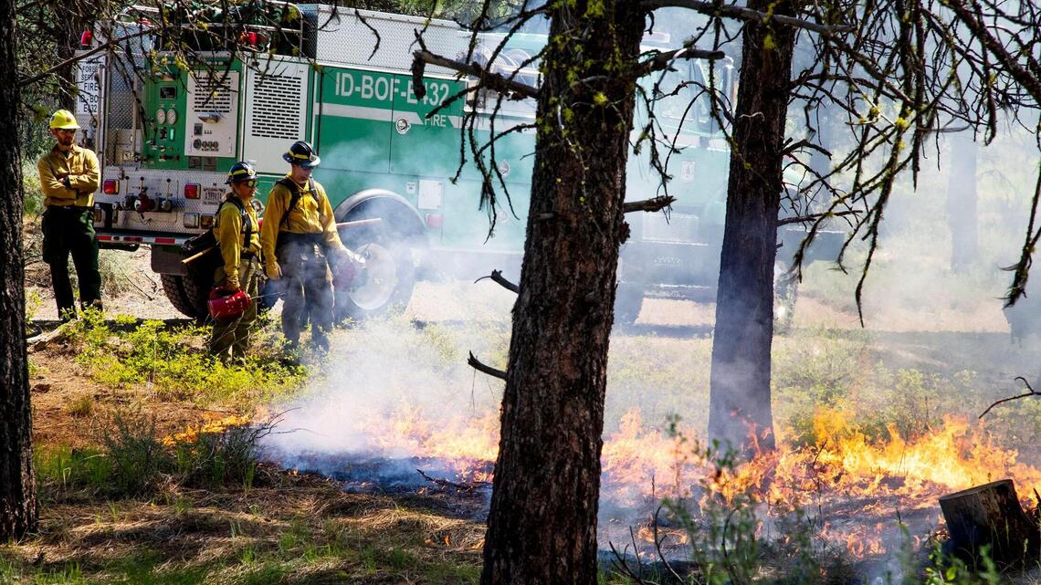 Idaho’s Risch co-authors bill to speed up tactics that prevent wildfires in the West