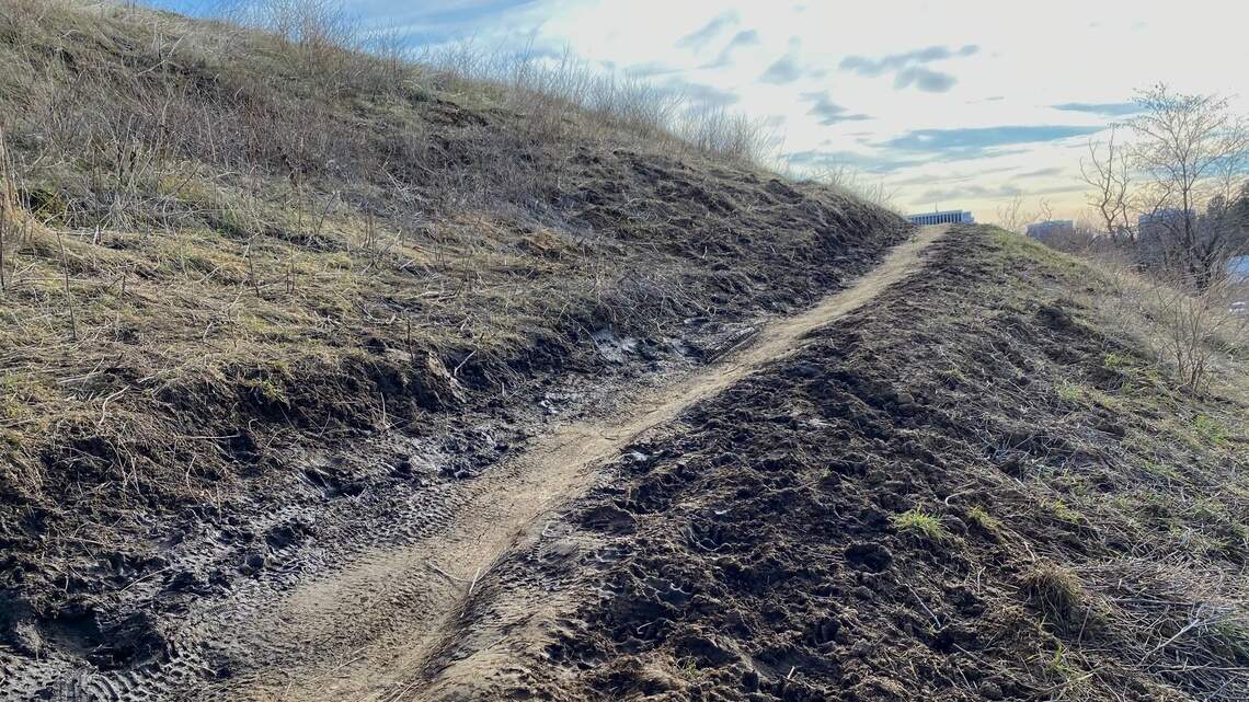 Boise man plans trail maintenance in ‘sacred’ Foothills. Here’s how you can join