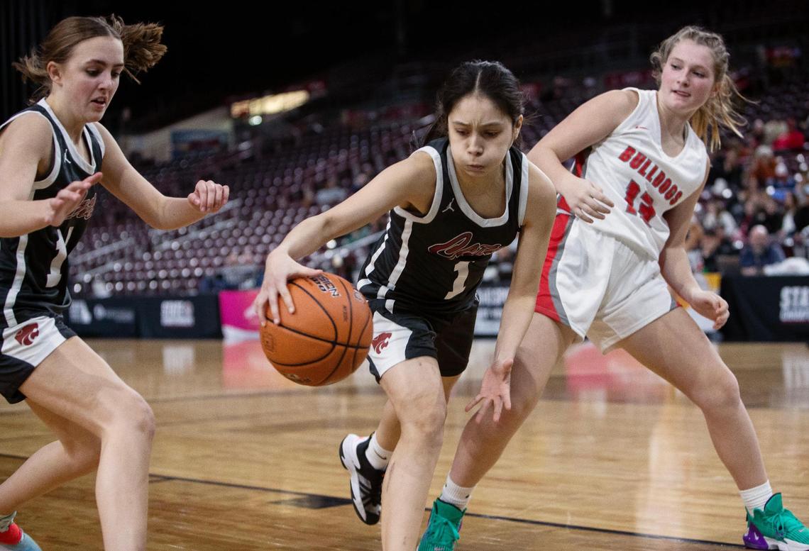 Columbia junior Raquel Reyna swipes the ball from Sandpoint in the fourth quarter Friday.