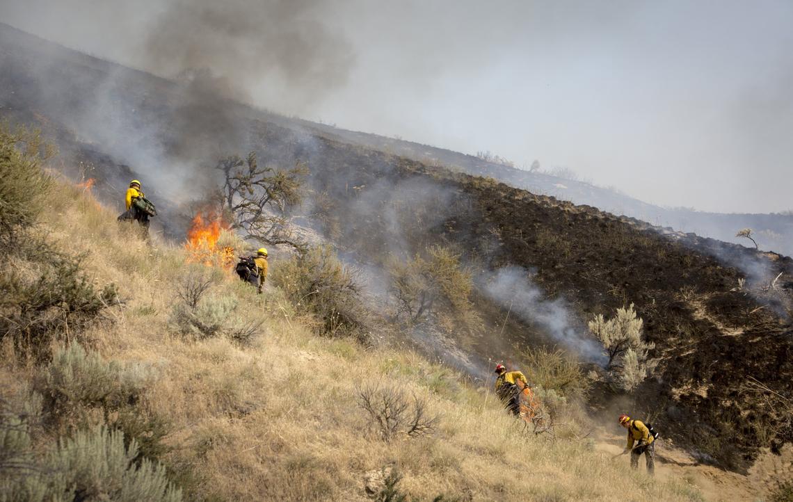 Crews from Boise Fire and BLM work the edge of a 15-acre fire near El Pelar subdivision in July 2018.