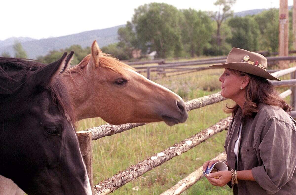 Dawn Wells, who played Mary Ann on the 60’s television show “Gilligan’s Island,” feeds horses at her Driggs ranch in 1999.