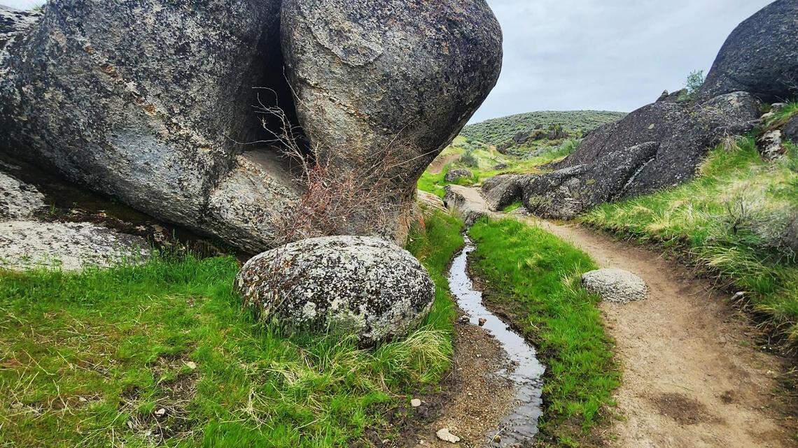 A running stream and rock outcroppings are highlights along the first mile of Sweet Connie from the Bogus Basin Road trailhead. Between May 12 and June 20, Sweet Connie and several other trails along Bogus Basin Road and near the ski area will be closed weekdays for a Boise National Forest logging project meant to improve forest health.