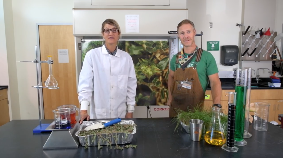 Martha Brabec, the Foothills restoration specialist for Boise Parks and Recreation, and Jimmy Hallyburton, the founder of Boise Bicycle Project, star in a short video explaining the goathead collection project.