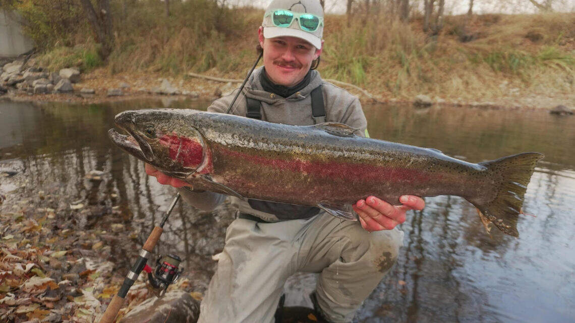 Steelhead are back in the Boise River! Here’s what to know if you plan to catch one