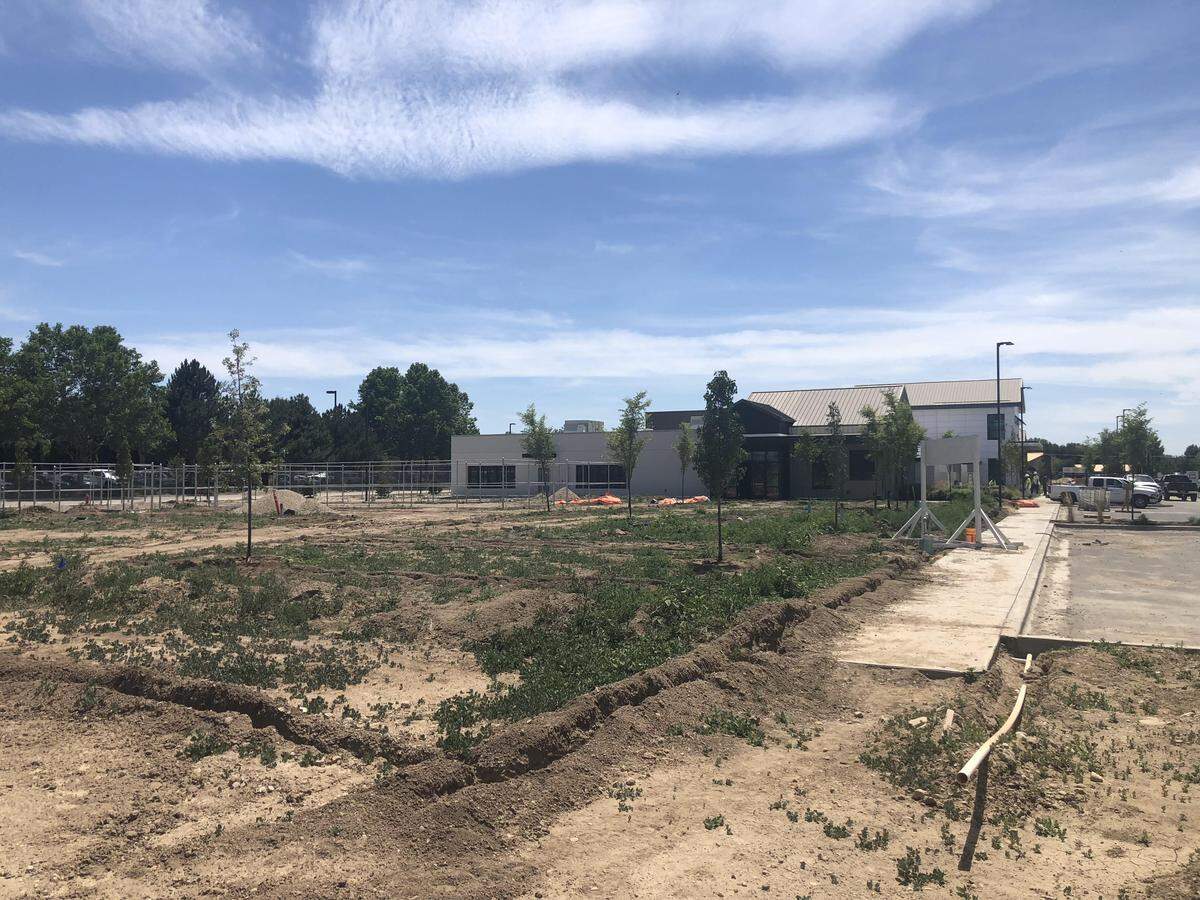 The undeveloped lot on the west side of the Idaho Humane Society’s new campus on Overland Road will be part of phase II of the project. That will be the site of a dog park and building for animal control and humane education.