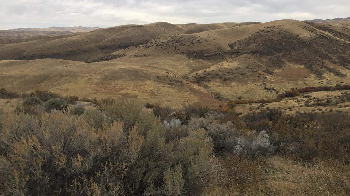 Ada County adds 250 acres of open space in the Foothills for hiking, mountain biking