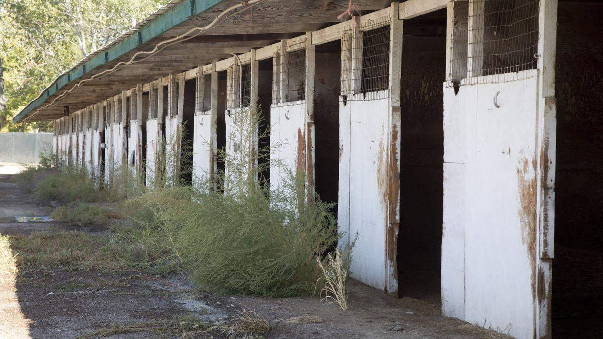 The Les Boise racetrack has been unused for three years.