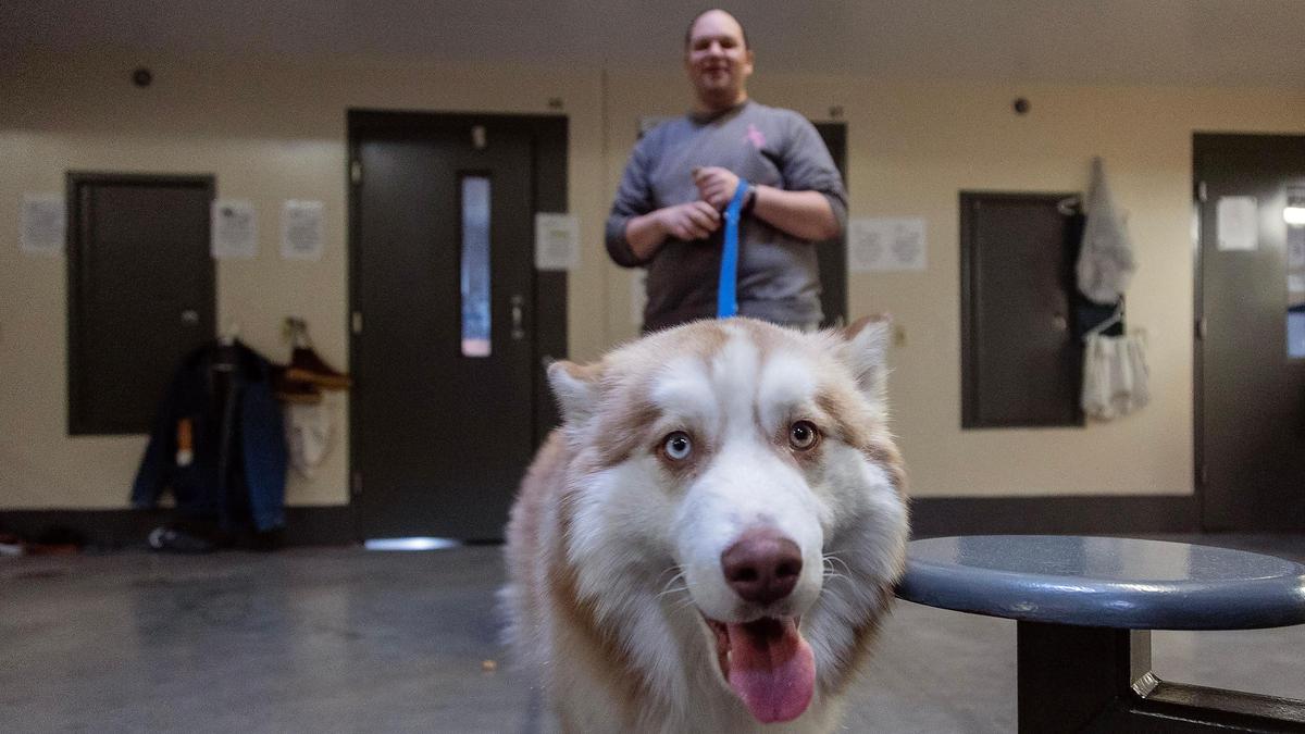 Idaho State Correctional Center inmate Matthew Stevens practices commands in the common area outside of his cell with a dog named Bear on Jan. 3, 2022 at the prison located south of Boise. Through a partnership between ISCC and Meridian Canine Rescue, the Education Project for Inmates & Canines (EPIC) pairs shelter dogs with inmates who work to train the animals using positive reinforcement and behavior modification techniques.