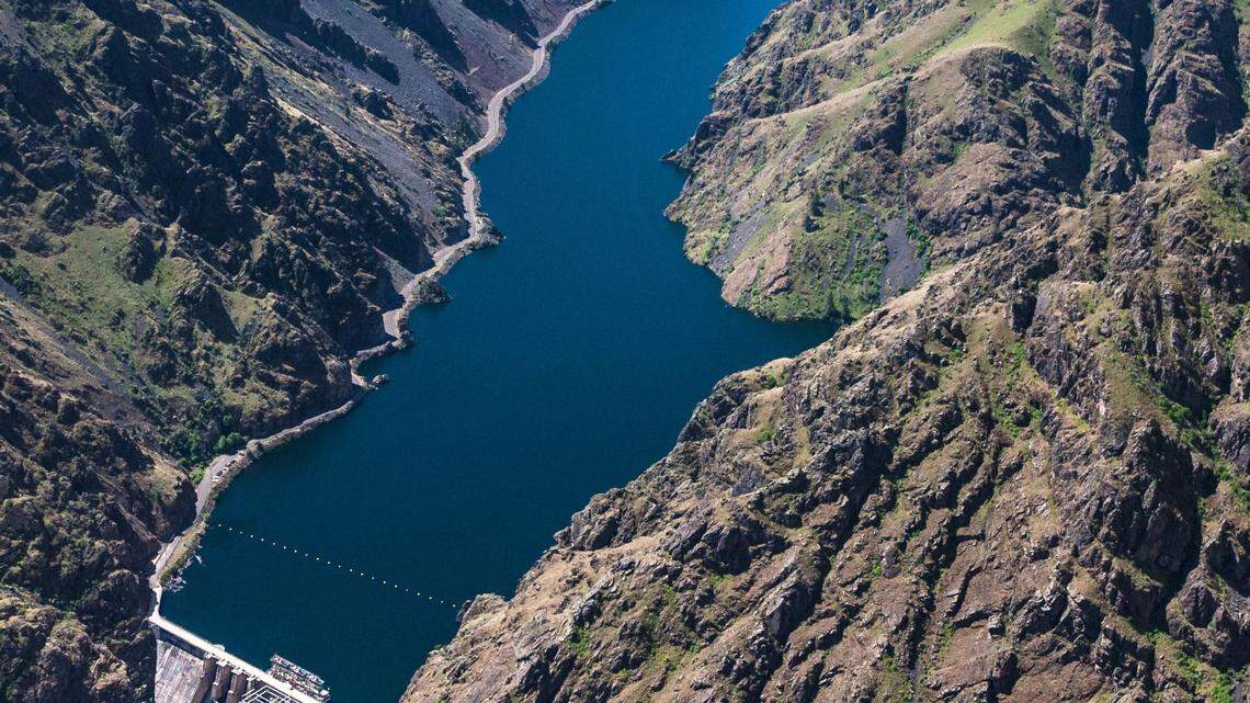 A little upriver from Hells Canyon Dam, tests taken from the Big Bar area of the reservoir indicated high concentrations of cyanotoxin-producing bacteria, according to Southwest District Health.