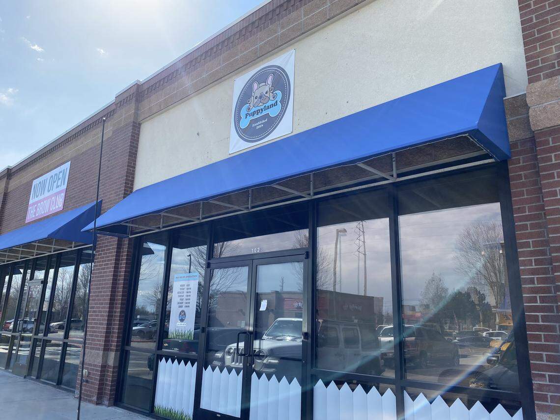 Puppyland, located at 3100 E. Florence Dr. in Meridian, has taken over the brick-and-mortar site of the former Surf’s Up Puppy Shack.