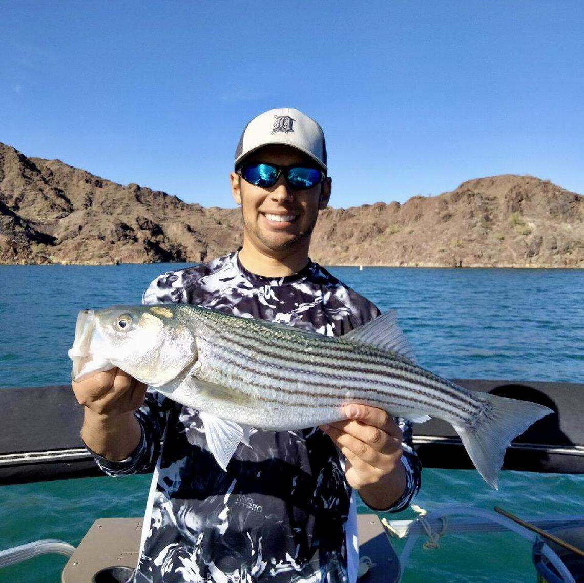 Striped bass are another popular target at Lake Havasu. This 24-inch striper was one of a dozen caught using live shad on a drop-shot rig.