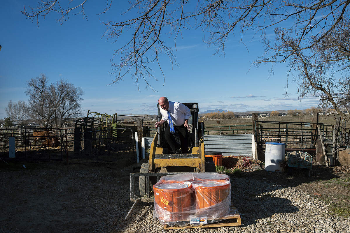 With is tie and dress shirt still on, Rep. Mike Moyle, R-Star, gets out of the cab of his compact track loader after unloading a pallet of protein blocks for his cattle on his ranch in Star. Moyle, the House majority leader, was able to find time between meetings to make a trip to Caldwell to buy pneumonia shots and other medicine for cattle on this day, March 3, the height of calving season on his farm.
