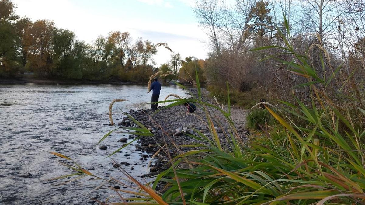 David Alvardo and his son on the bank of the Boise River at Barber Park.