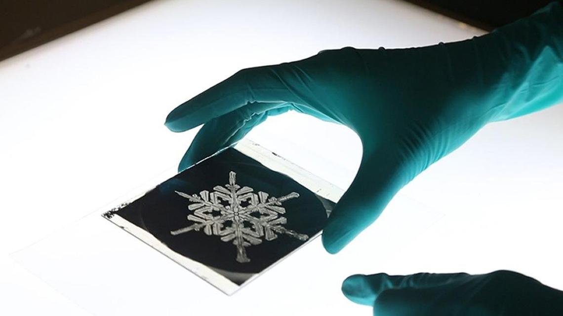 Smithsonian Archives preservation coordinator Alison Reppert Gerber examines one of Bentley’s glass slides.