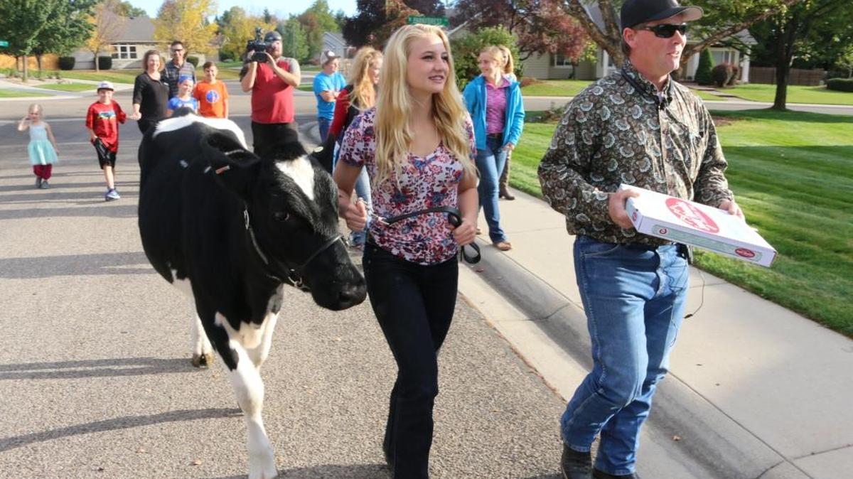 Lola the Holstein, her owner Kayla Shubert (a sophomore and FFA member at Eagle High School), and Sunnyslope dairy farmer Matt Dorsey strolled the streets of Eagle on Friday.