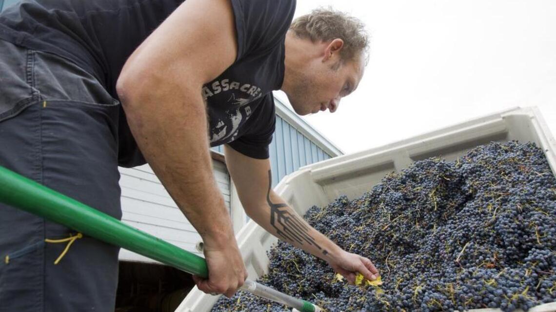 Vintner turns wild critters into gold at Garden City’s Split Rail Winery