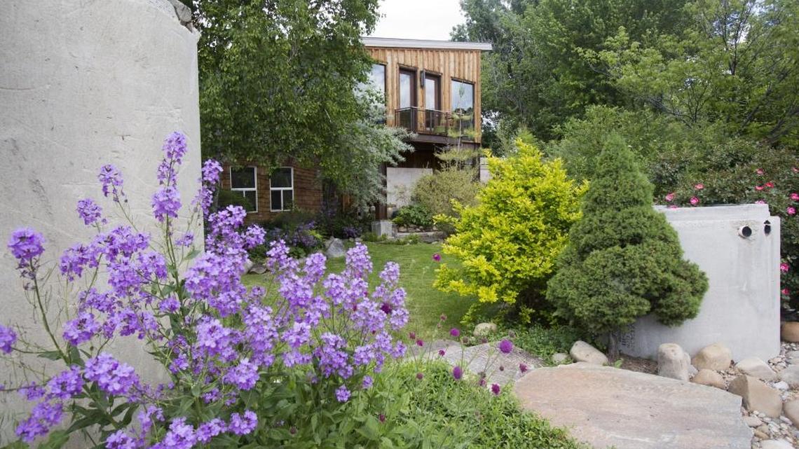 Boise Flower & Garden Show is in bloom soon. Tips for bonsai, orchids and more