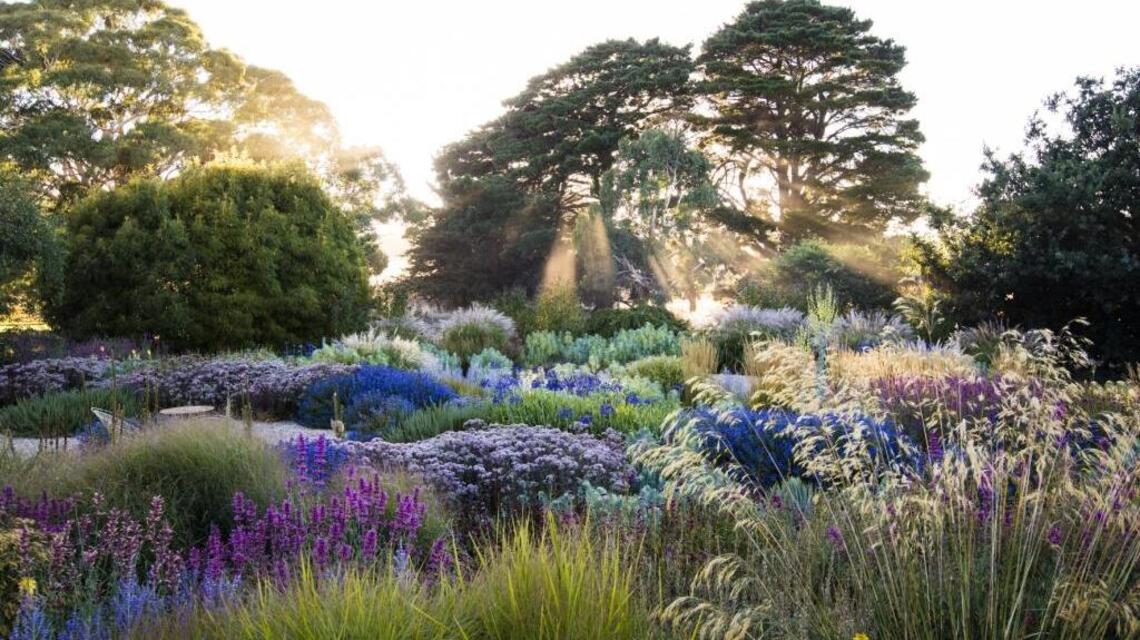 Forget the perfect trophy garden: Today’s finest landscapes are positively wild