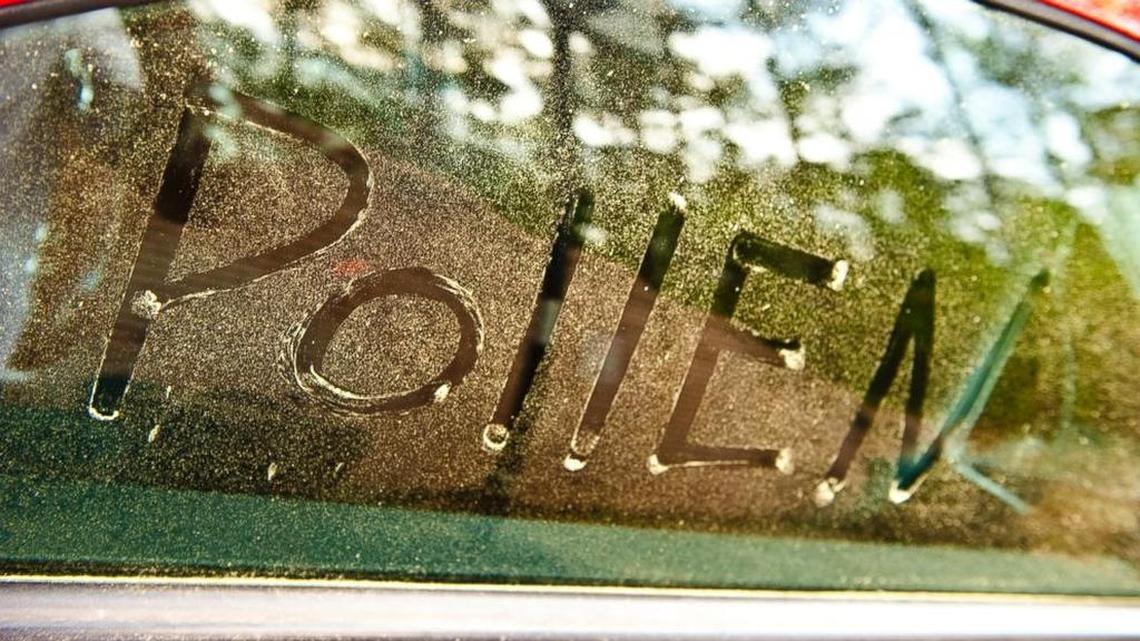 How bad is allergy season in SLO County? ‘Tree pollens are very high’