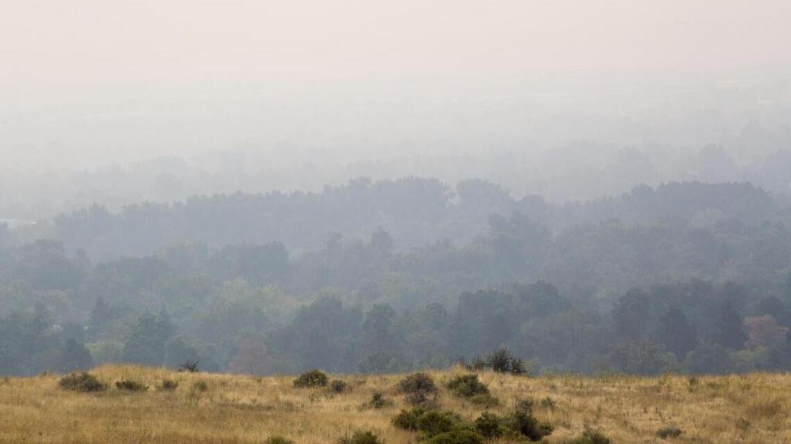 Yes, this summer’s fires did affect Treasure Valley gardens
