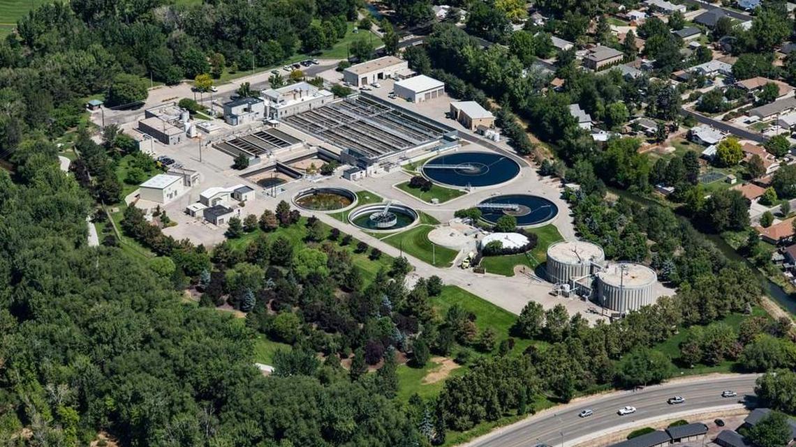 The City of Trees could always use a few more, but make sure you know what you’re planting.