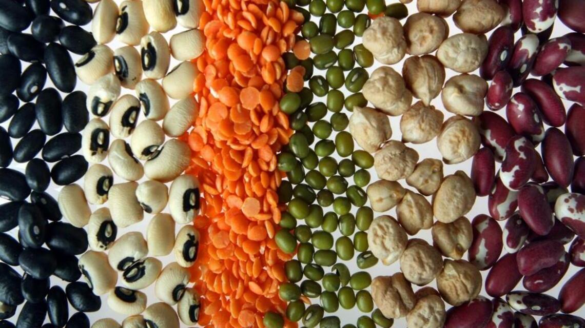 Like beans? Here’s a rundown on how to grow them