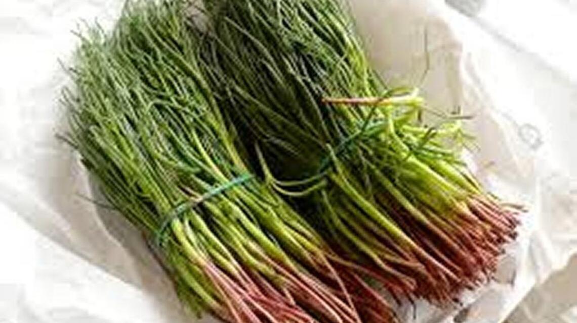 It’s considered a delicacy and you can grow it in the Treasure Valley