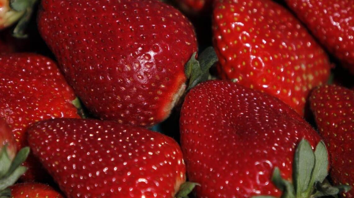 Are you thinking about planting strawberries next year?