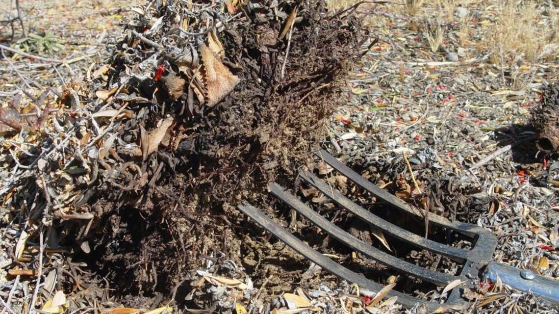 Save yourself some work in your garden and with your lawn this year
