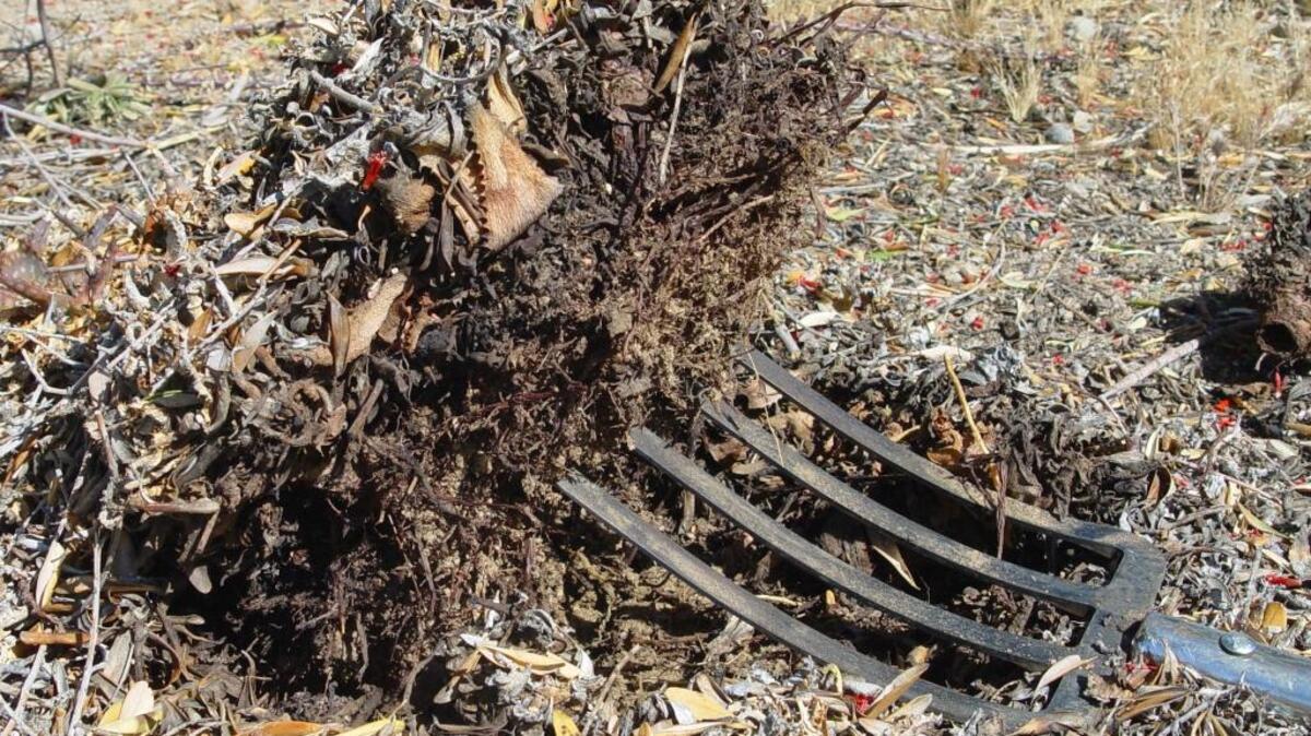 Don’t count on mulch to stop weed growth; they might just grow right through it.