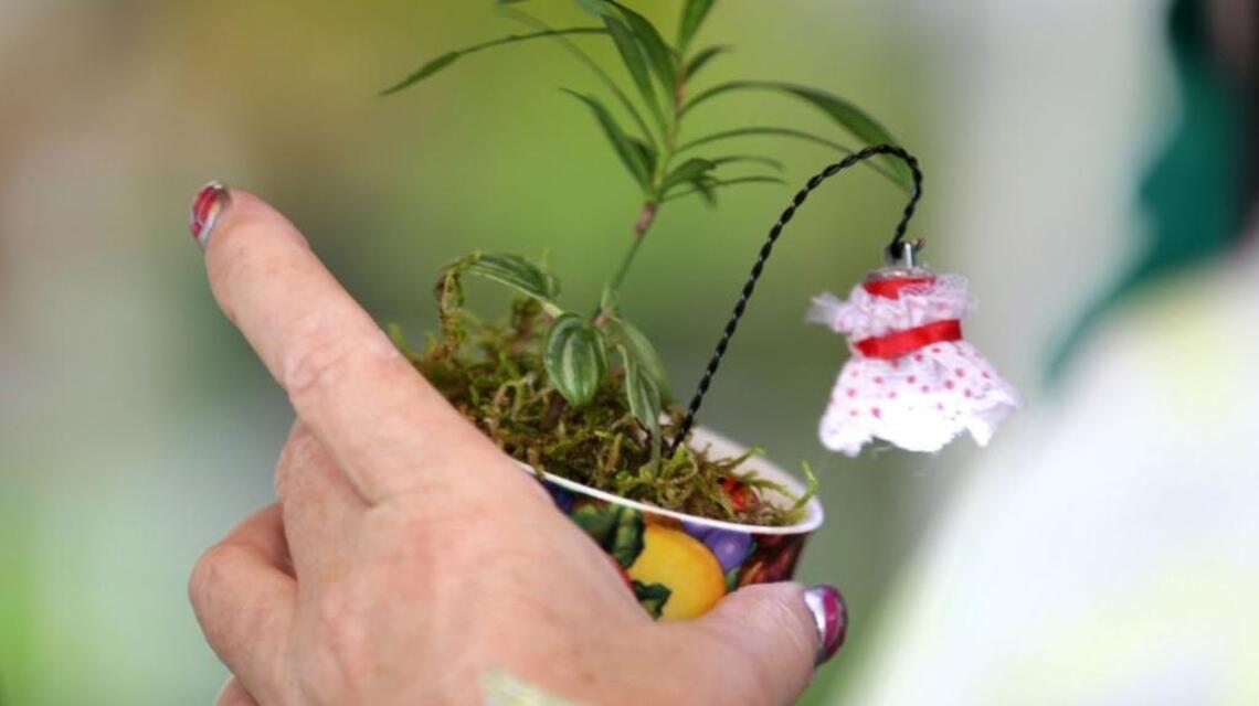 Don’t jump the gun on spring planting
