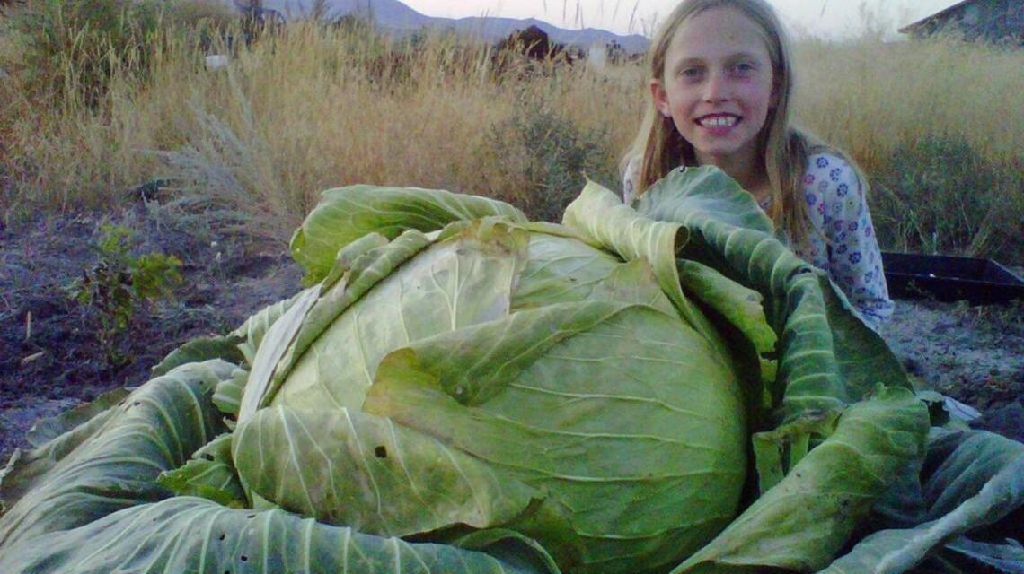 Here’s a timeline for planting veggies for this summer in Idaho